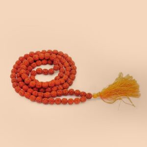 5 MUKHI MALAS